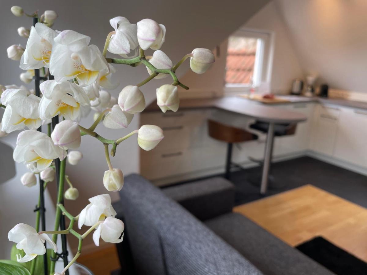 Boutique Ferienwohnungen Mit Gartensauna, Naehe Europapark Und Strassburg "Uebernacht - Am Talbach" Offenburg Esterno foto